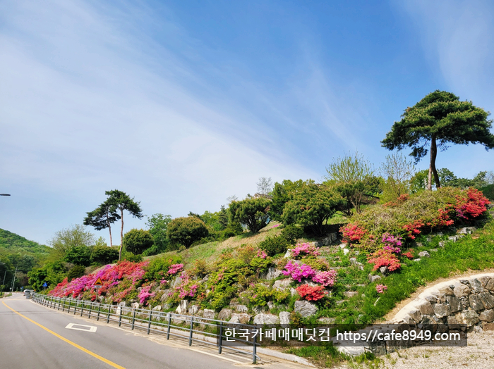 안성시월향리고삼지호수단독주택건물카페매매물3-1.png